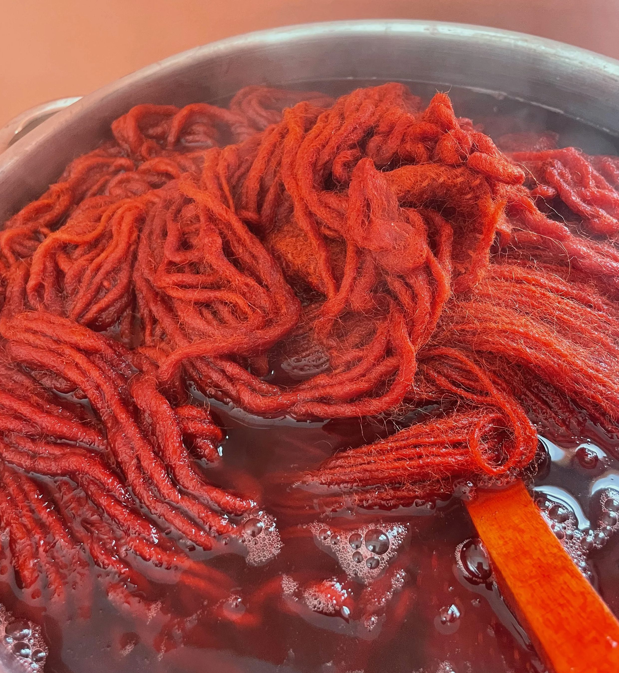 Natural dye bath used by Aviva Leigh